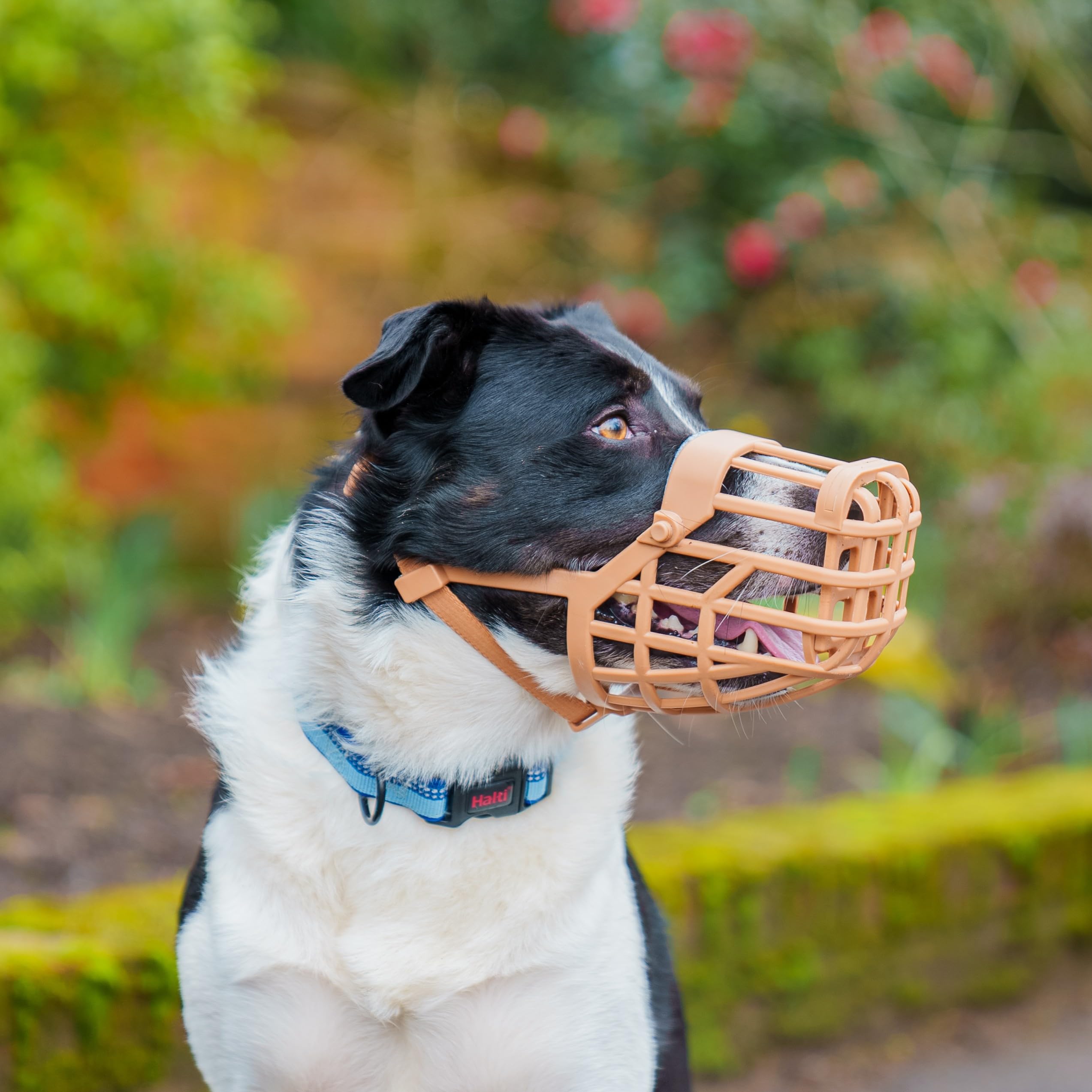 Baskerville Classic Basket Muzzle - Size 1, Brown, Prevents Biting & Scavenging