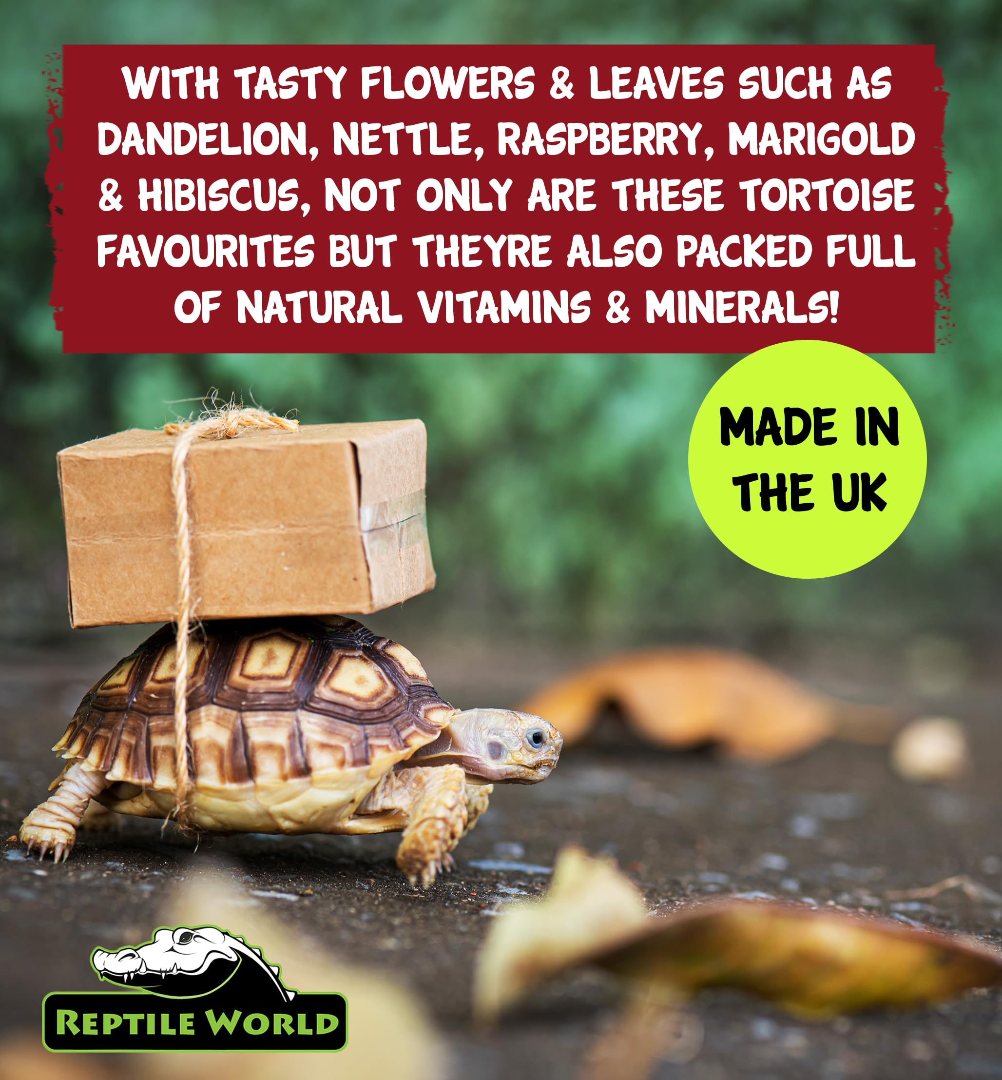 Reptile World Edible Tortoise Bedding - 10L Bag | Natural Grass & Flowers | All Life Stages 7