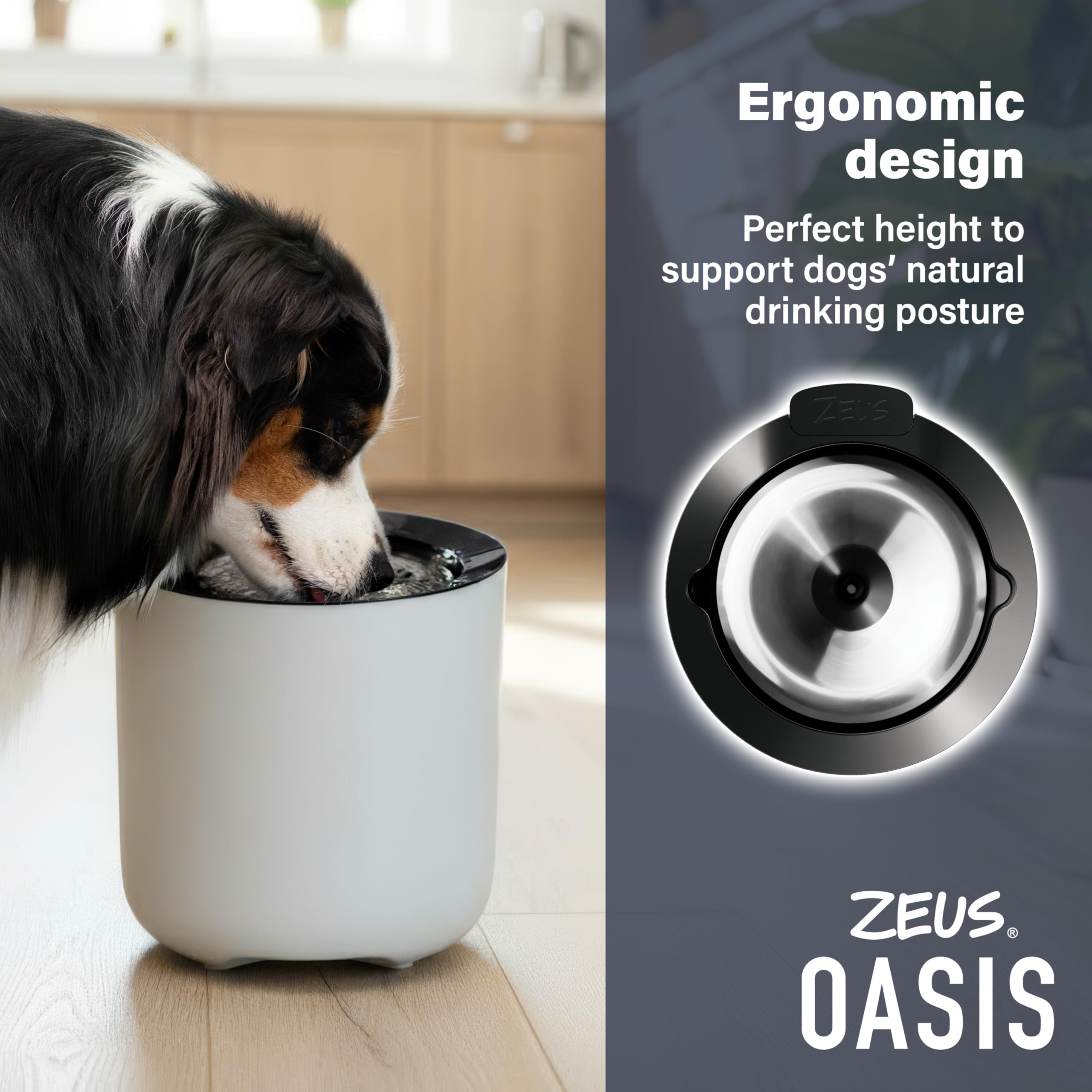 Zeus Oasis Dog Water Fountain - 6L Large Capacity | Stainless Steel Top | Triple Action Filter 5