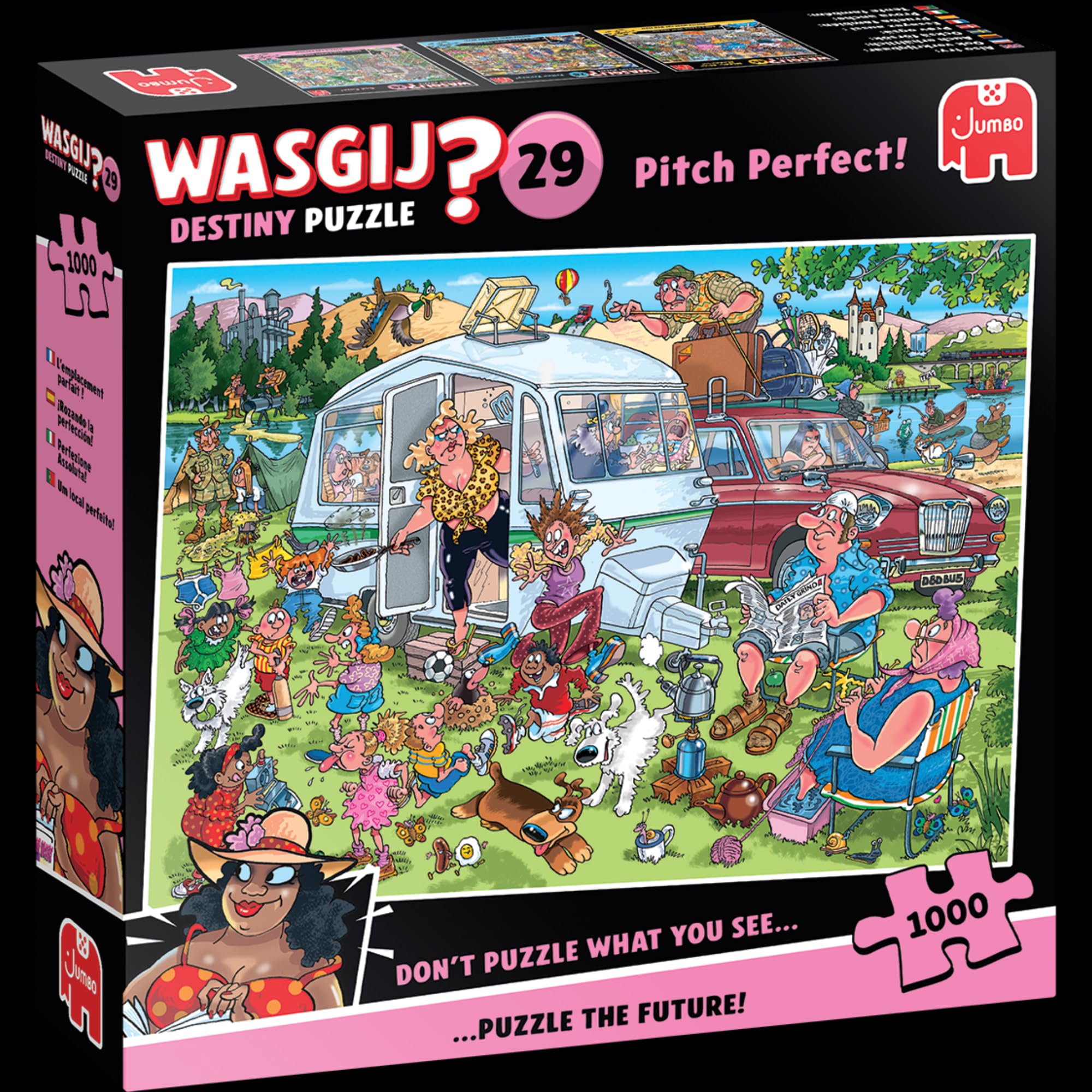 Wasgij Destiny 29 - Pitch Perfect 1000 Piece Jigsaw Puzzle 3