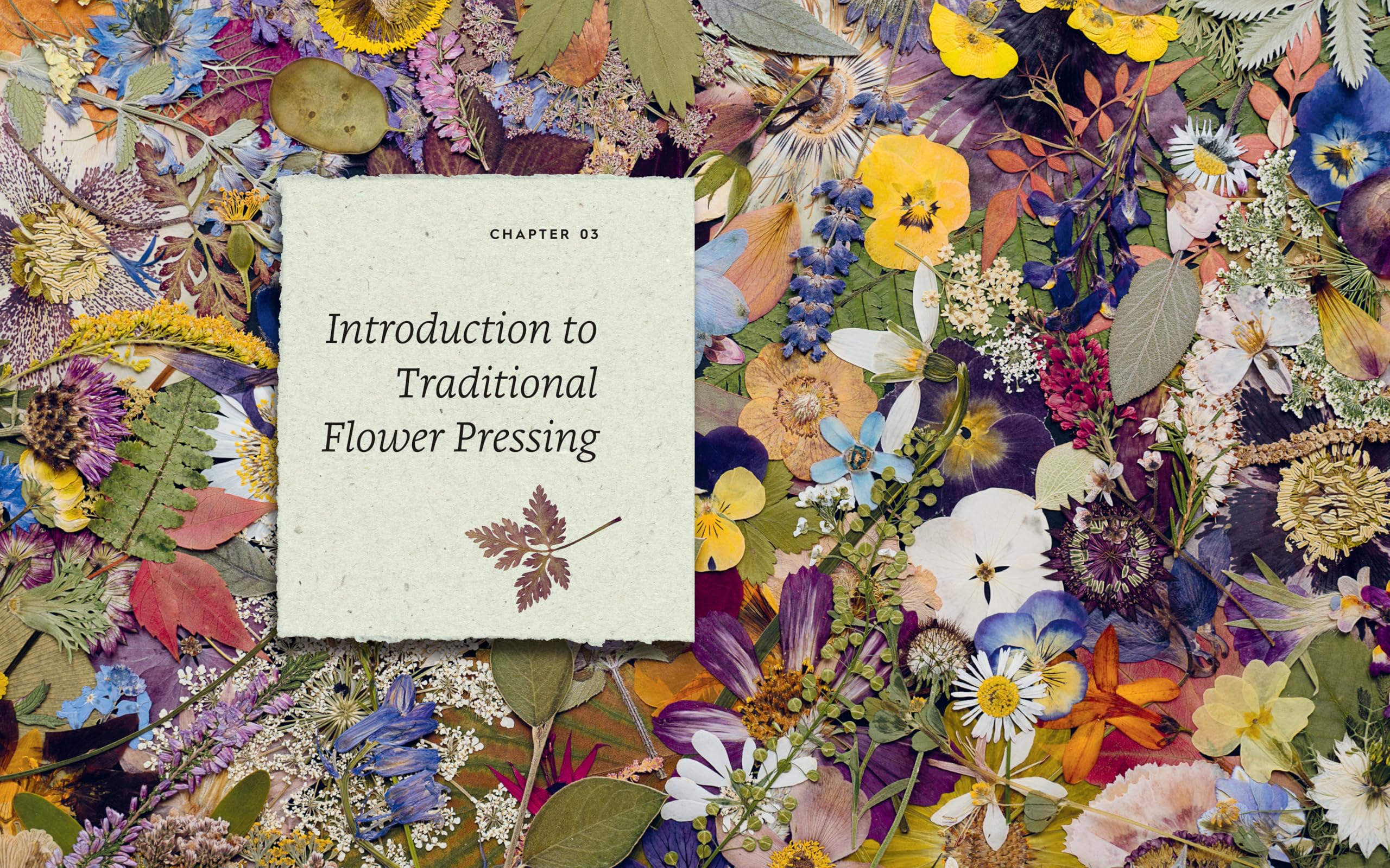 Quarry Books The Pressed Flower Handbook - Connecting with Nature Through Floral Crafts 4