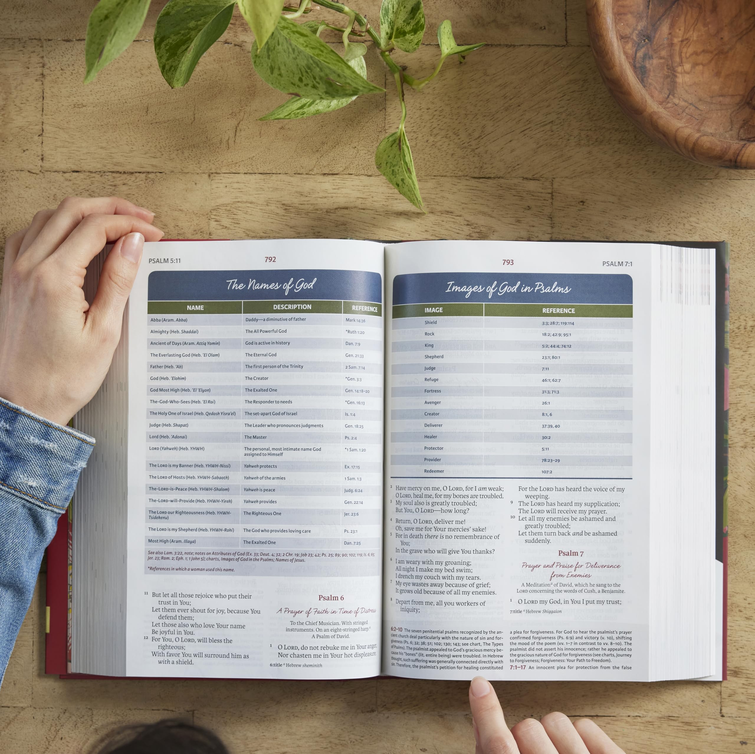 Thomas Nelson NKJV Woman's Study Bible - Fully Revised, Hardcover, Full-Color 6
