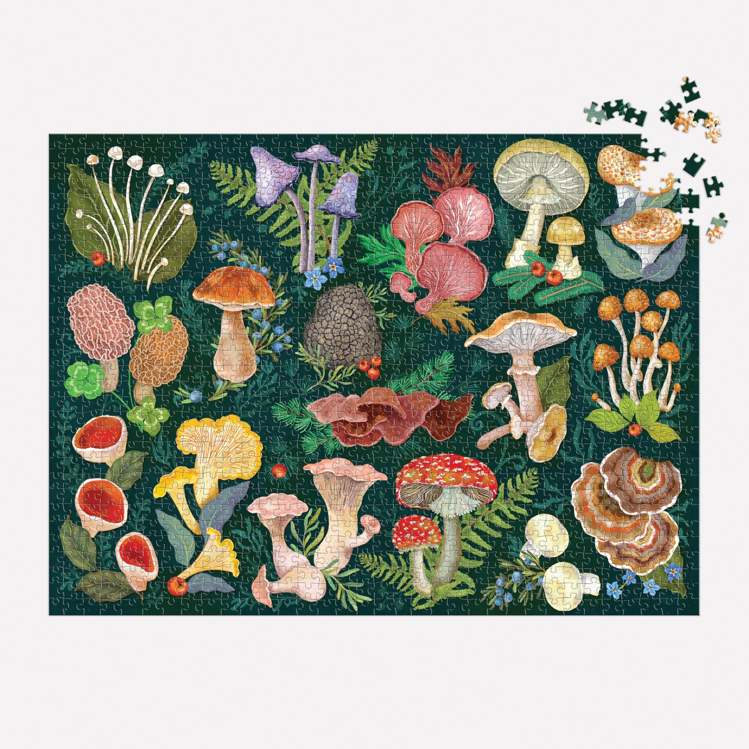 Galison World of Mushrooms 1000 Piece Jigsaw Puzzle | Features Glossary of Species 6
