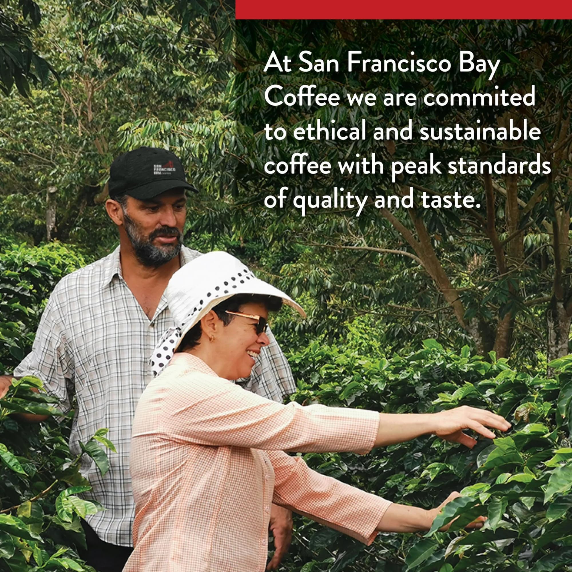 San Francisco Bay French Roast Whole Bean Coffee 908g - Dark Roast Arabica 10