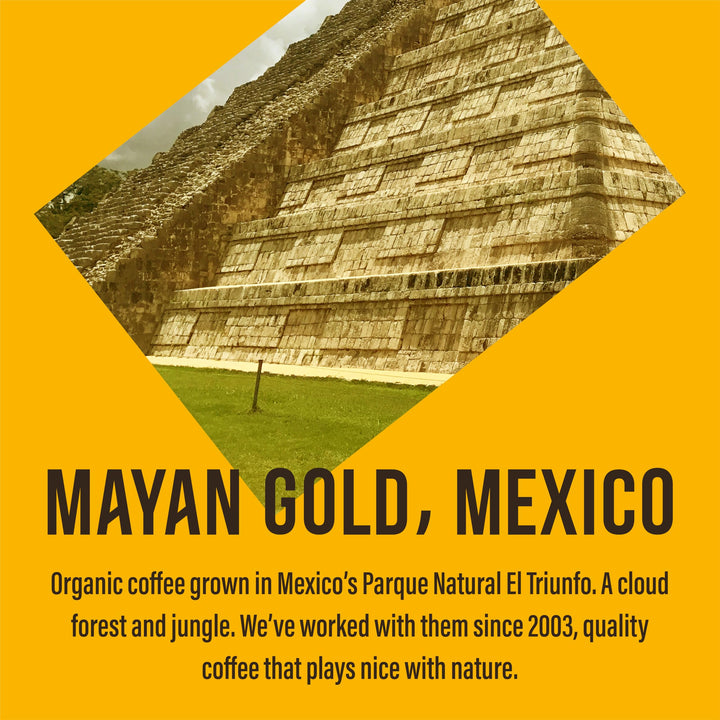Café Direct Mayan Gold Mexico Organic Fairtrade Whole Bean Coffee 200g