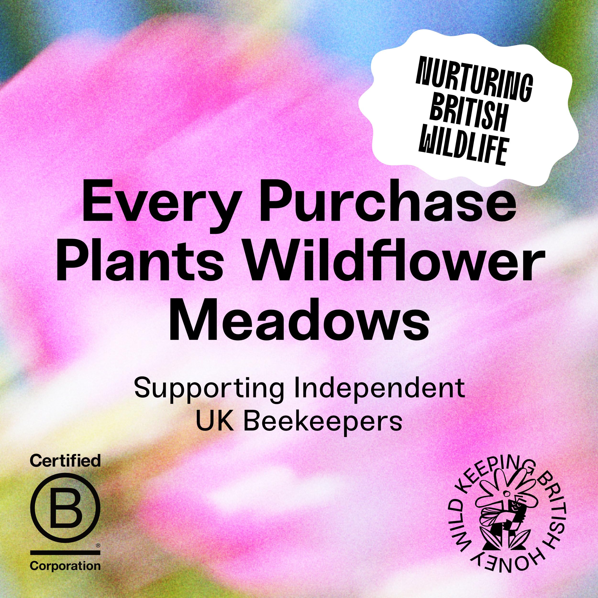 Black Bee Hot Honey with Habanero Chilli - British Wildflower Chilli Honey 4