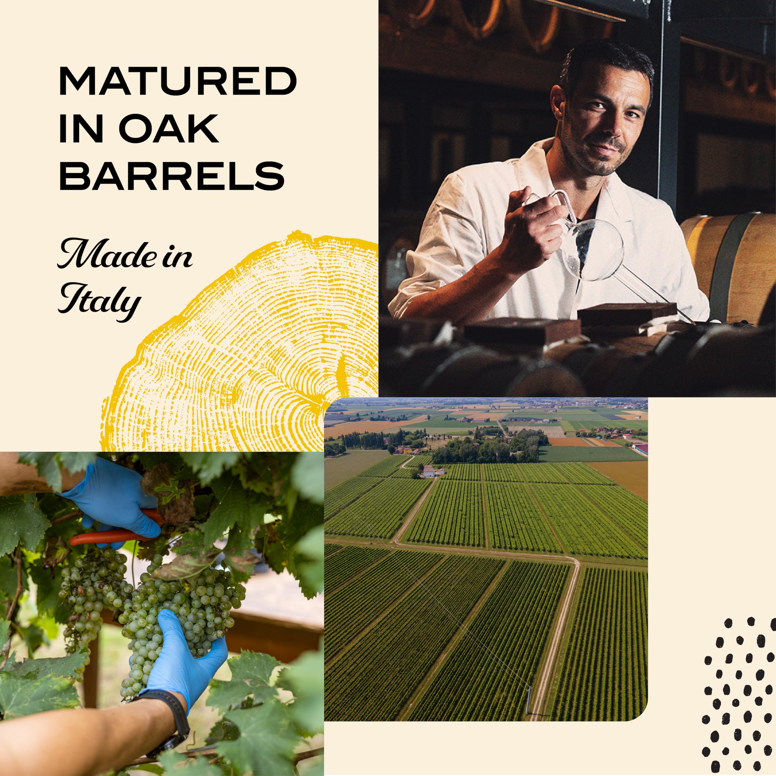 Mazzetti Balsamic Vinegar of Modena - Salad Series | 6% Acidity | 250ml 3