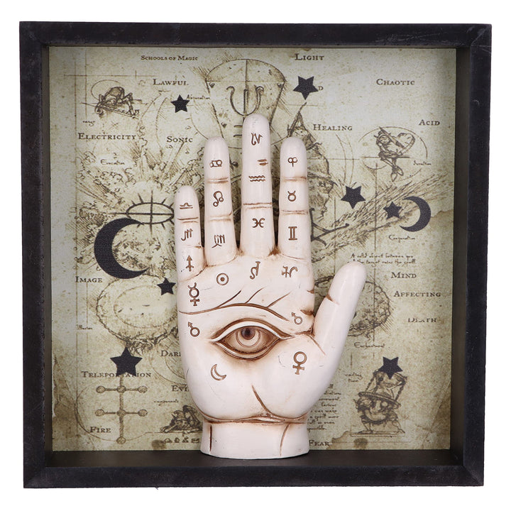 Nemesis Now - Palmistry Companion Framed Chiromancy Wall Art