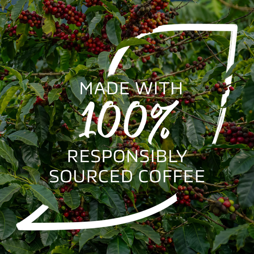 NESCAFÉ Organic Fairtrade Instant Coffee 500g - 100% Arabica, Citrus Notes, EU Organic Certified
