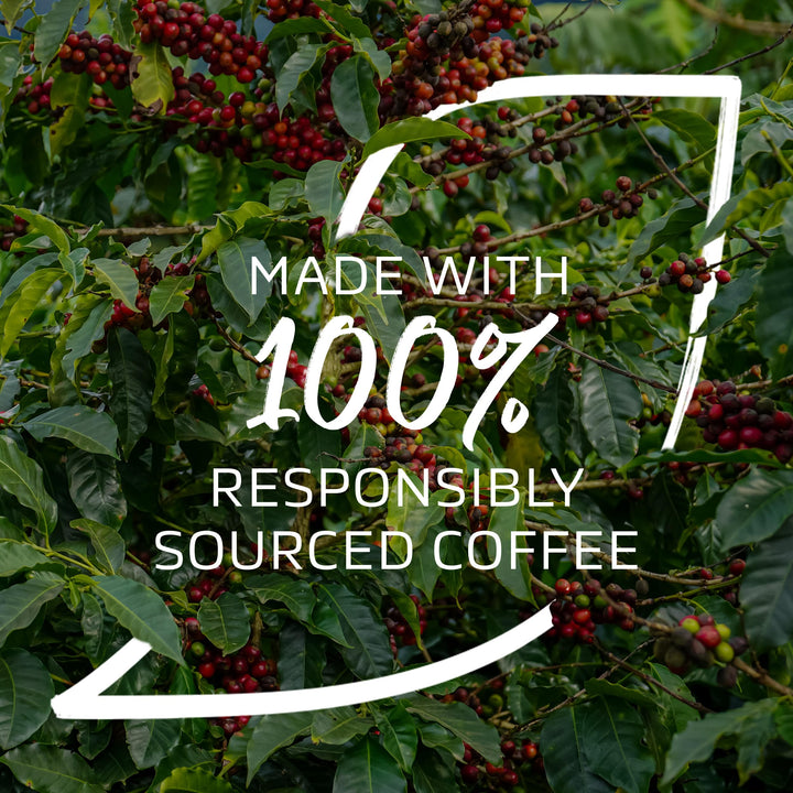 NESCAFÉ Organic Fairtrade Instant Coffee 500g - 100% Arabica, Citrus Notes, EU Organic Certified