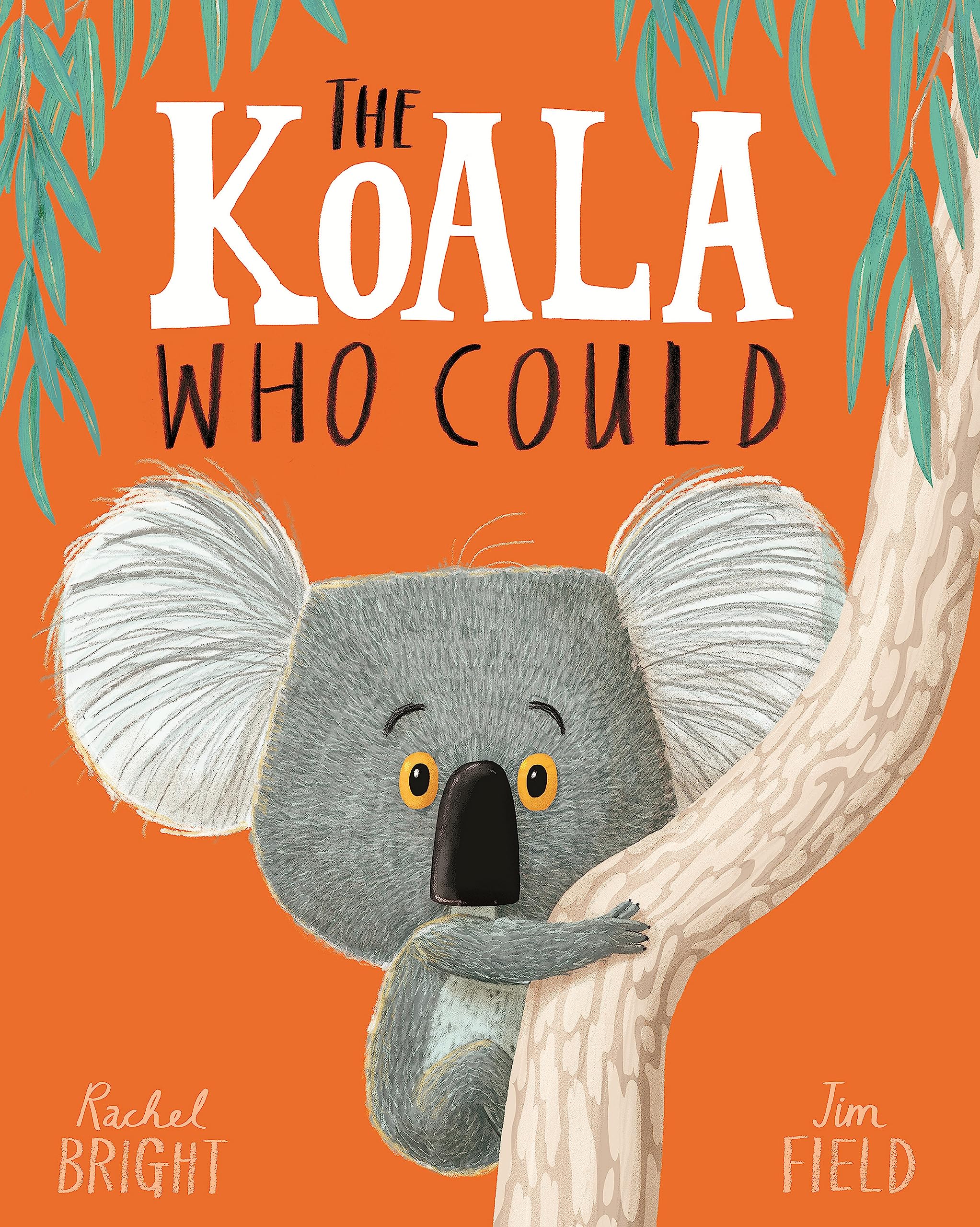 Orchard Books The Koala Who Could by Rachel Bright | Paperback | Ages 2-5 1