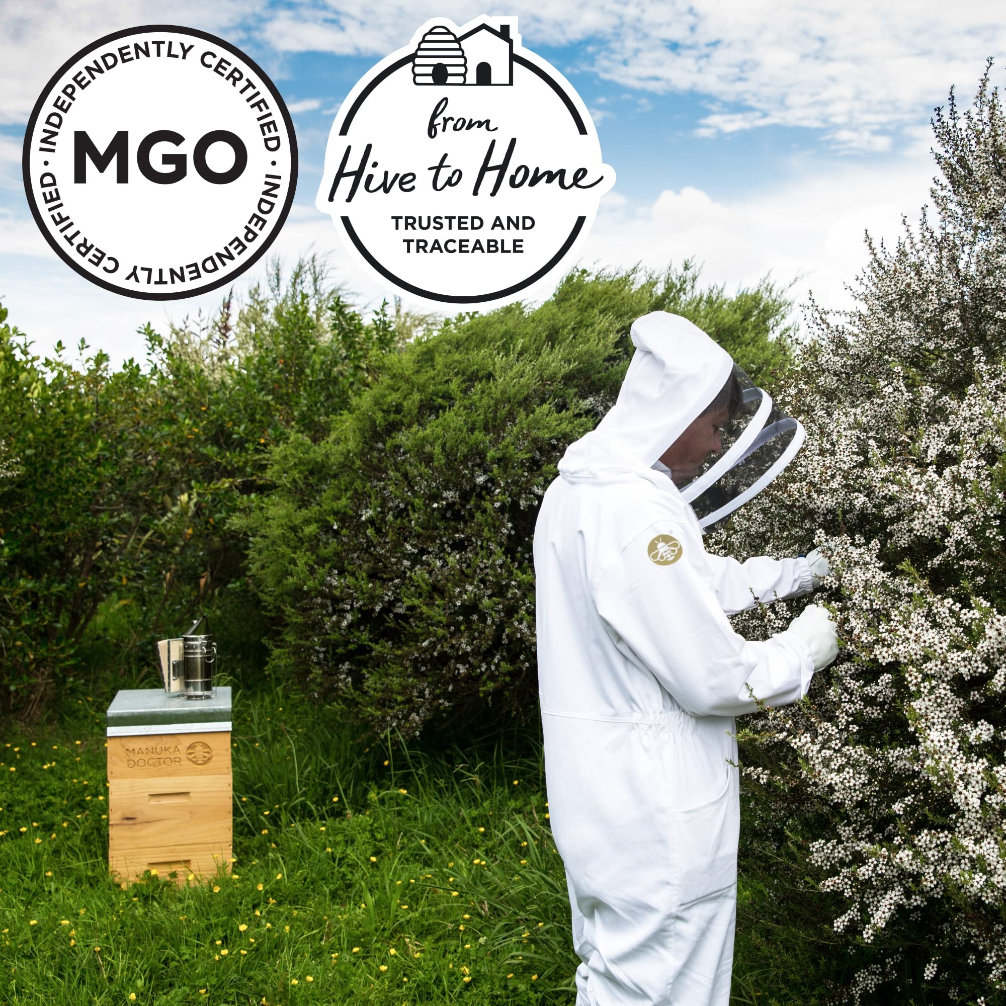 Manuka Doctor - 15+ MGO 30 MGO Manuka Honey with Aloe Vera (500g) 8