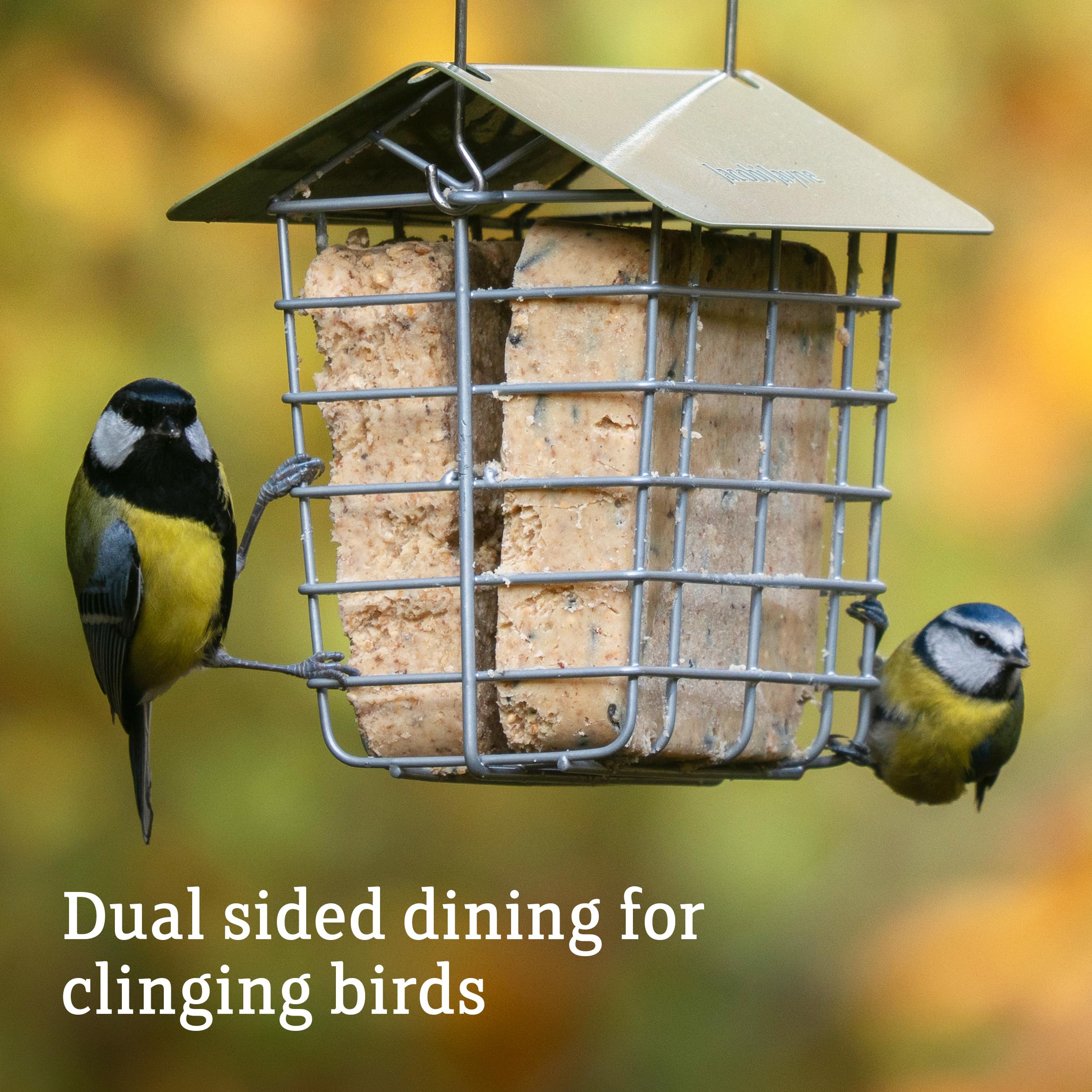 Jacobi Jayne Suet Cake Feeder - Holds 2 Suet Blocks | Weather Resistant Green Feeder 4