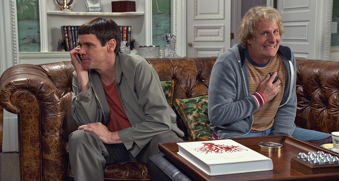 Dumb and Dumber To (2014) - DVD