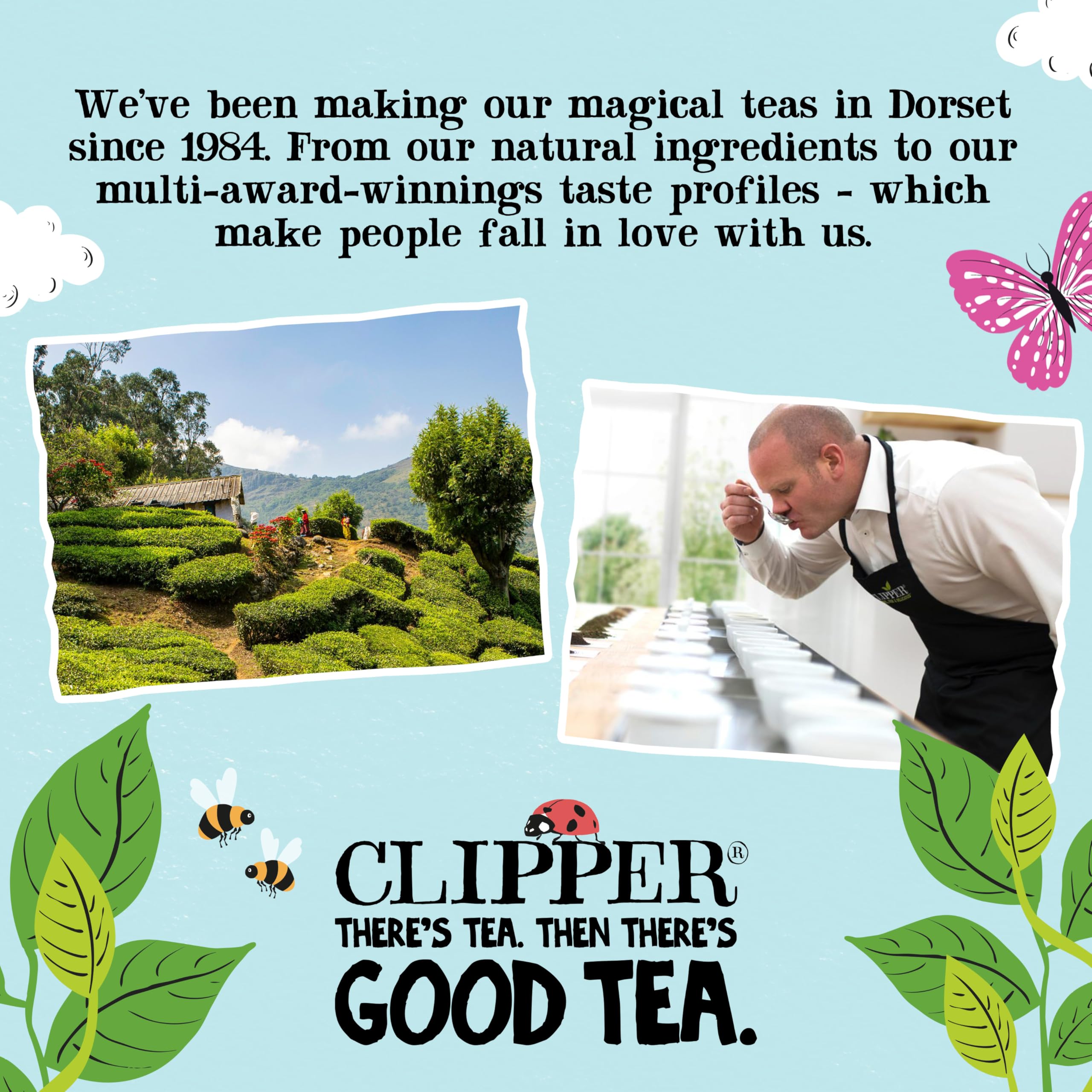 Clipper Organic White Tea Bags - 40 Count, Antioxidant Support | Plastic-Free Bags 8
