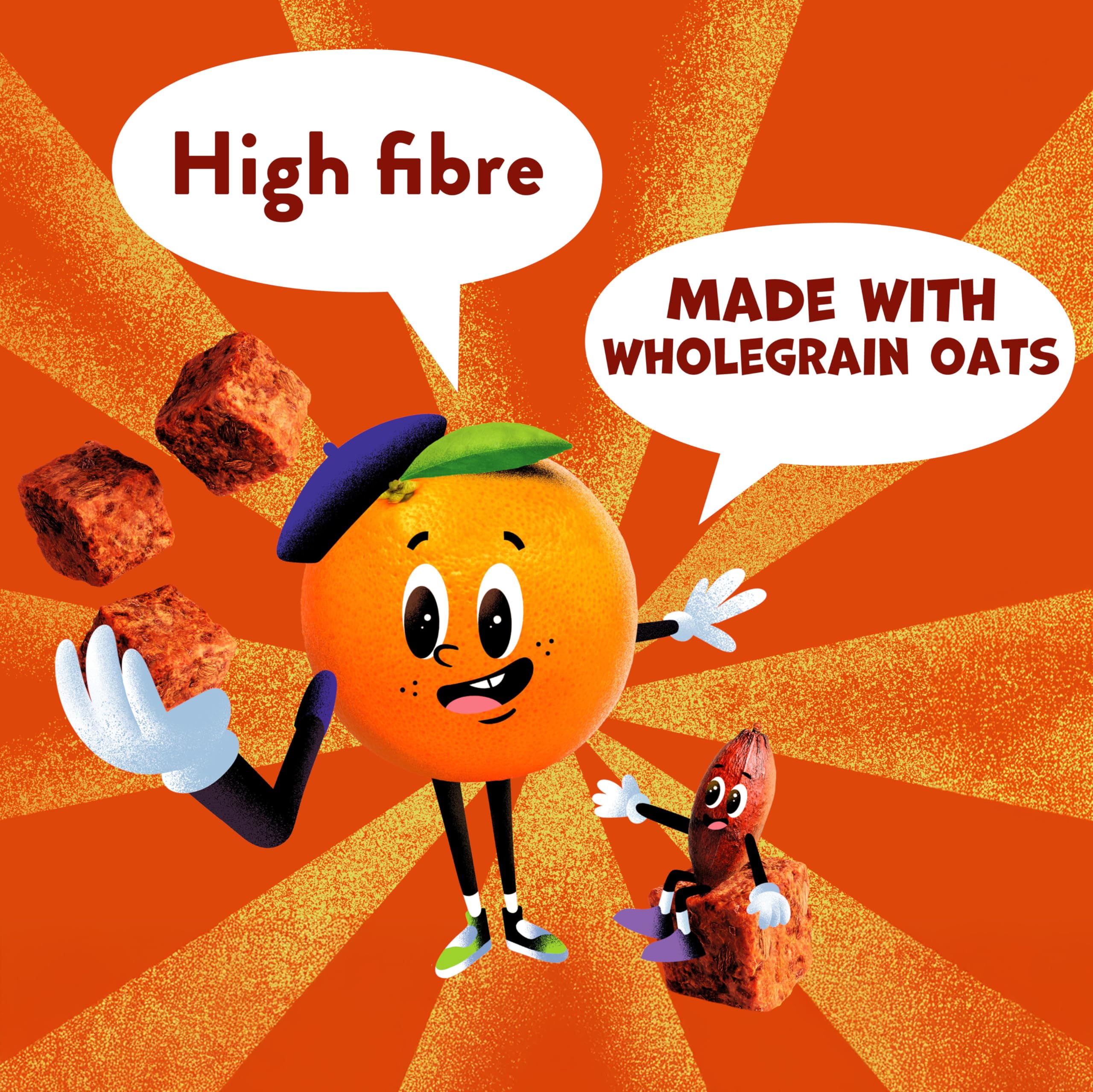 Goodies Choco Orange Mini Flapjack Oat Bar Bites - High Fibre | 16 Count | Ages 3+ 6