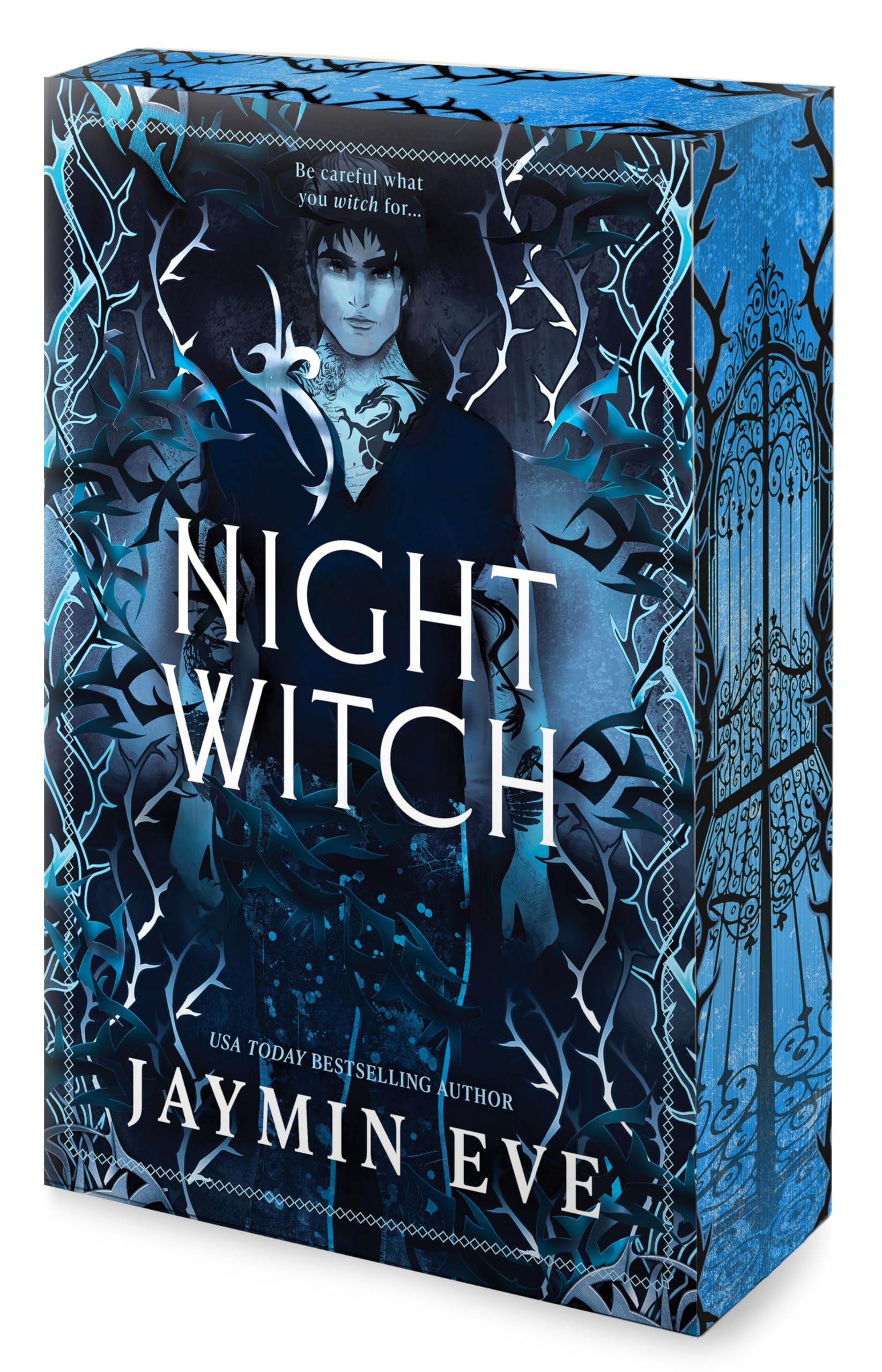 Mira Books Night Witch - Book 2 of Weatherstone College | Forbidden Romantasy Paperback 1