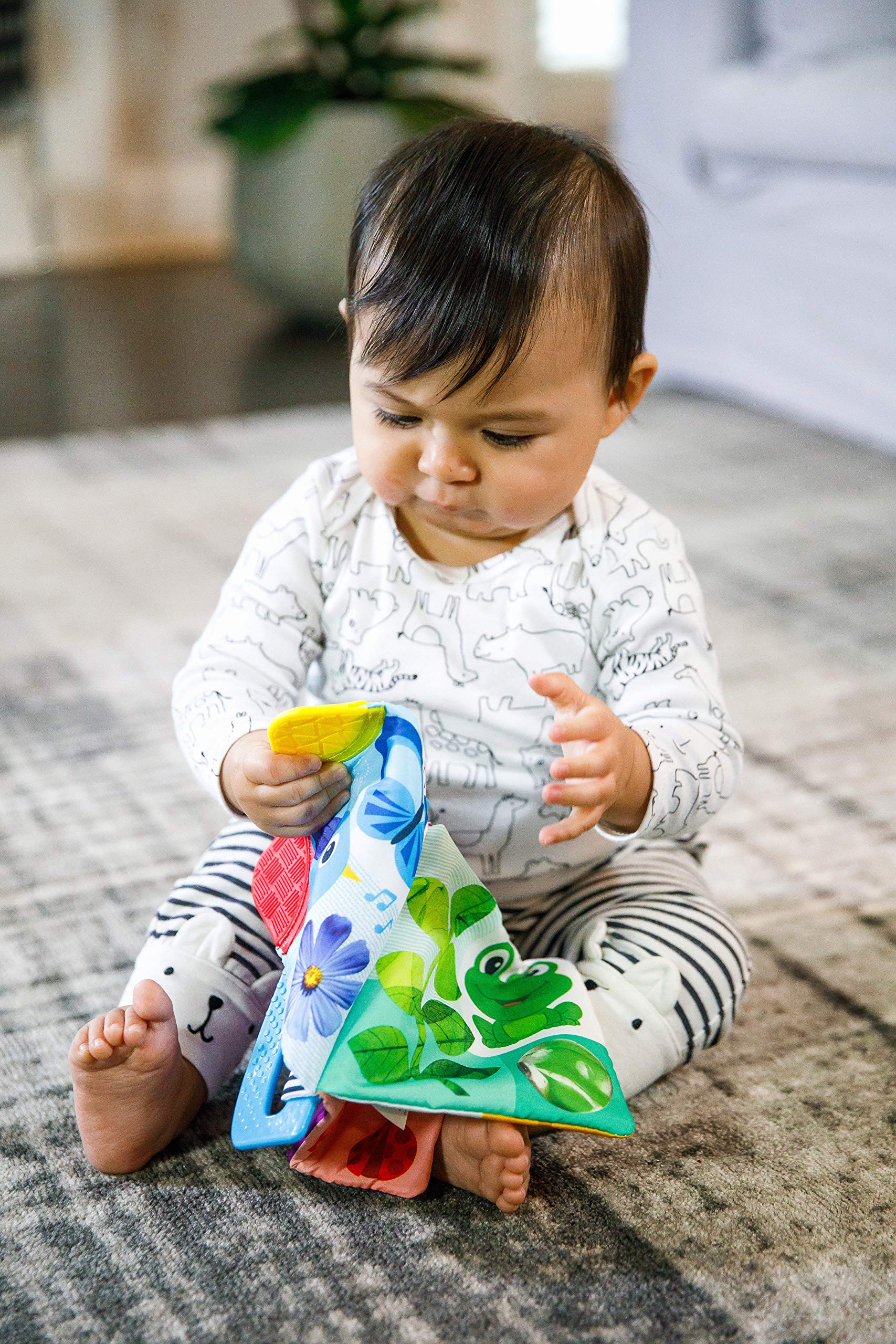 Baby Einstein Curious Explorers Teether Book Take-Along Toy for Newborns + 4
