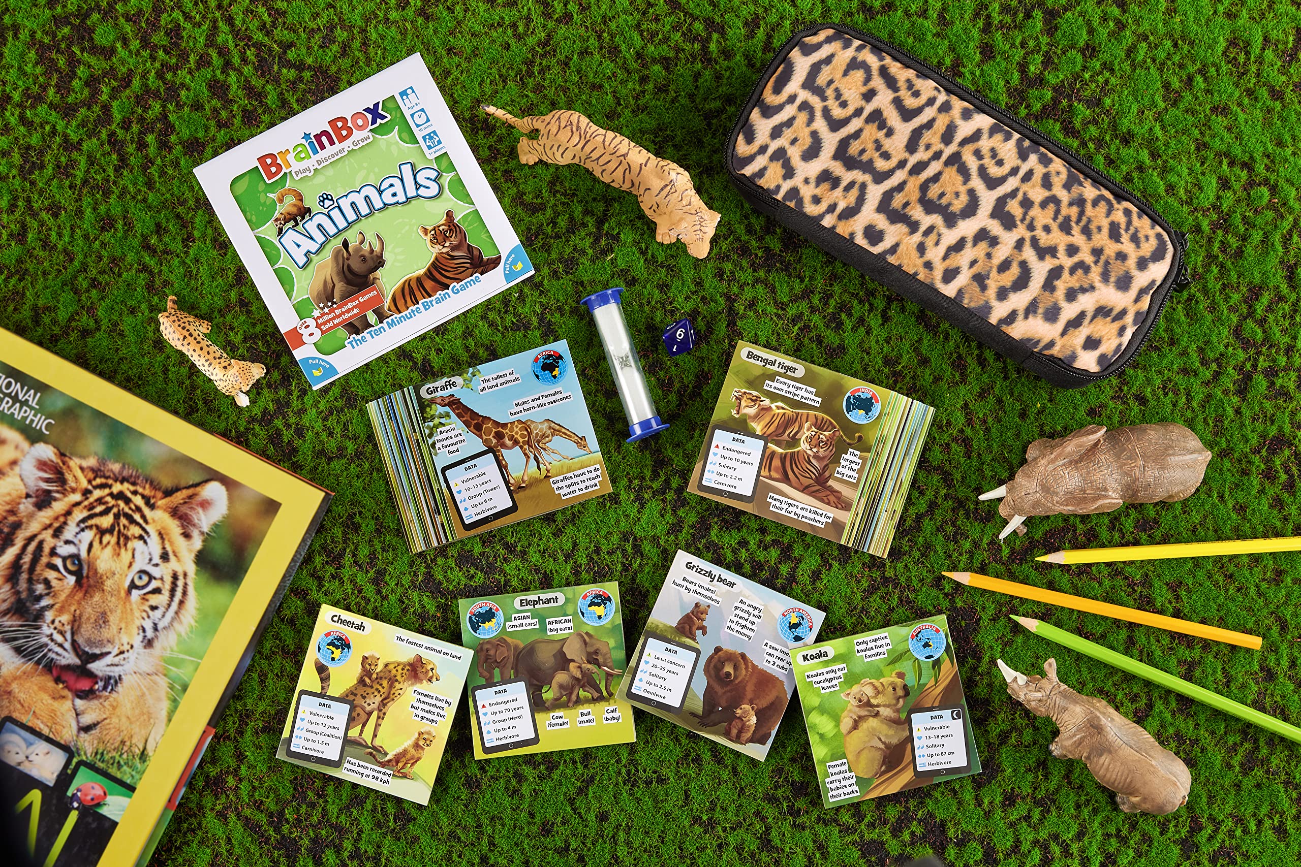 Brain Box Animals Dedicated Deck Card Game | Ages 8+ | 1+ Players | 10 Min Play Time 6