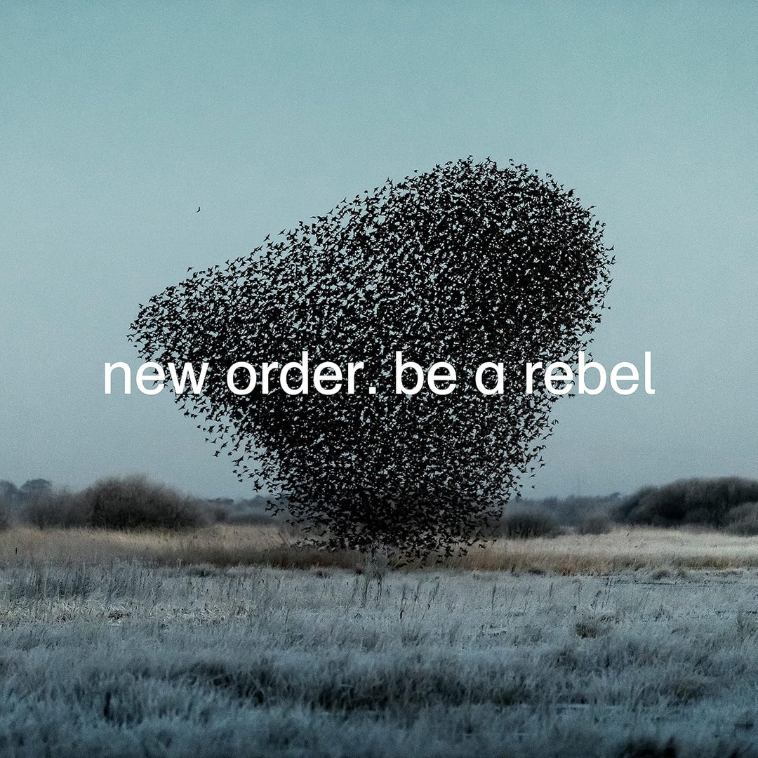 New Order - Be A Rebel 12" Vinyl EP with Remixes, Uplifting Synth Pop Music