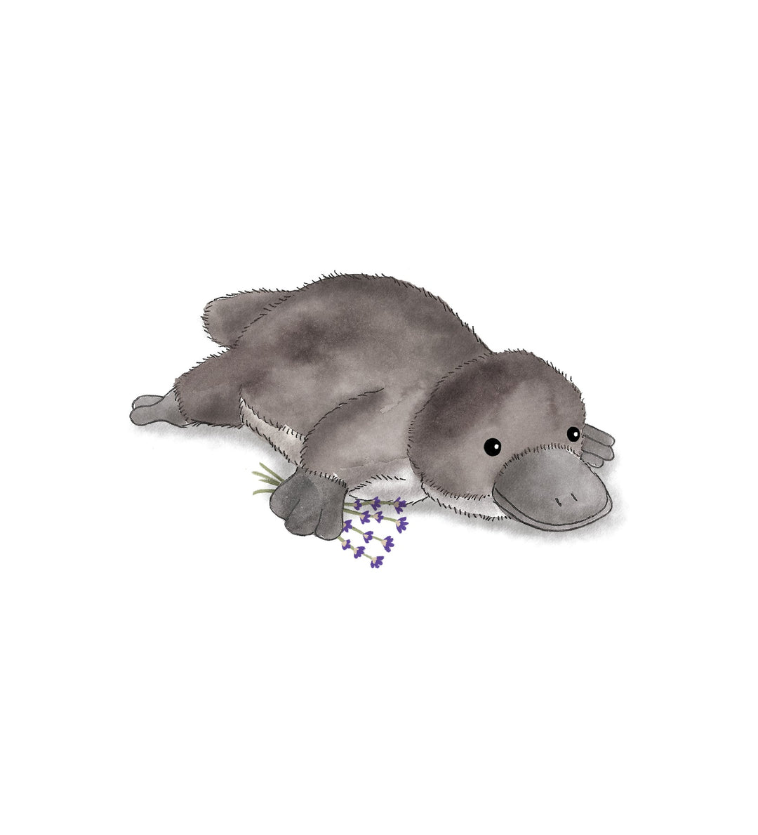 Warmies Platypus