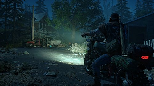 Days Gone (PS4)