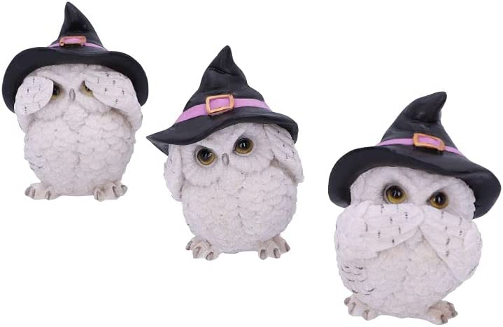 Nemesis Now Three Wise Feathered Familiars Owl Figurine 9cm, White