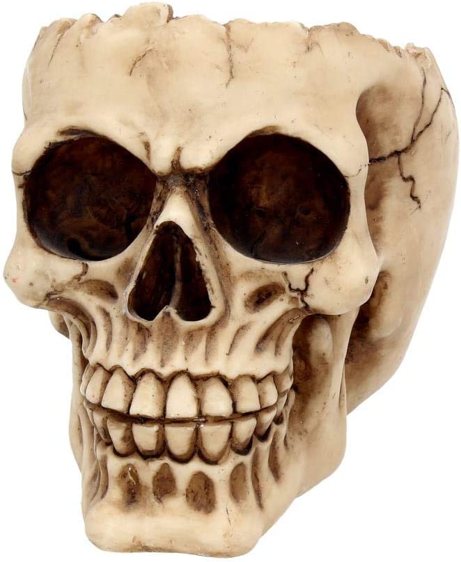 Nemesis Now Lobo Aschenbecher 13,5 cm Elfenbein