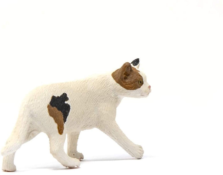 Schleich 13894 Chat Américain à poils courts - Le monde de la ferme