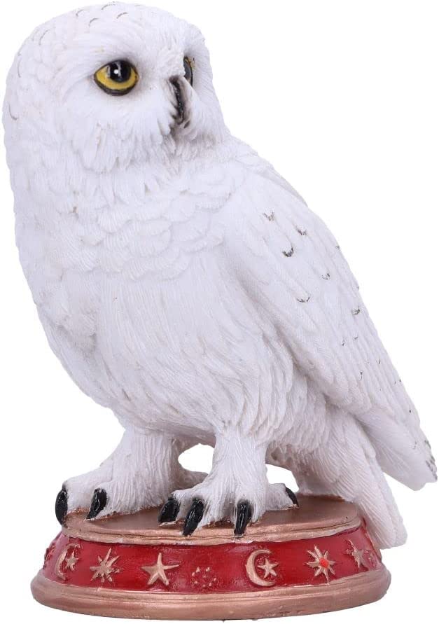 Nemesis Now Wizard's Familiar Owl Figurine, White, 10cm