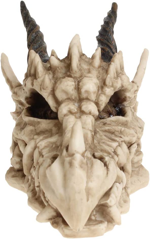 Nemesis Now AL50057 Dragon Skull Box 15cm Ivory