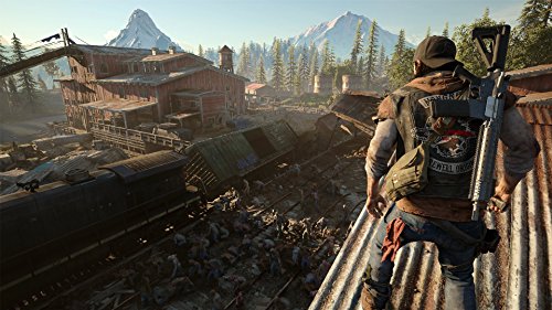 Days Gone (PS4)