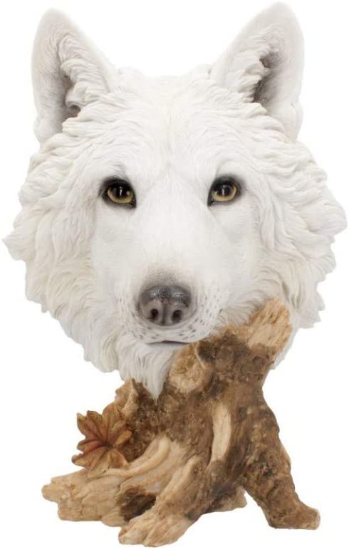 Nemesis Now Wild Winter 27.5cm Figurine White, Resin, One Size