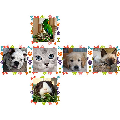 V-Cube "2 Essential-Pets Cube (Multi-Colour)