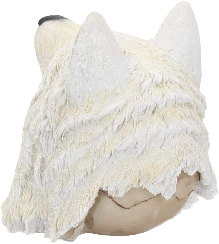 Nemesis Now Nachtwolf-Figur, 19 cm, Schwarz