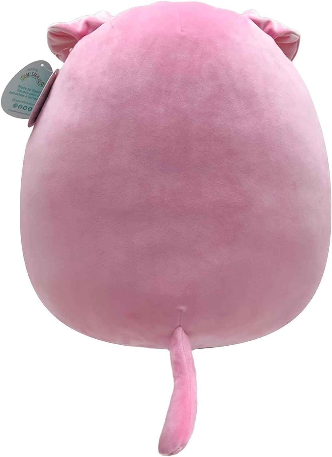 Squishmallows SQCR04201 16" Geraldine, Geraldon Pink Scottish Fold Cat