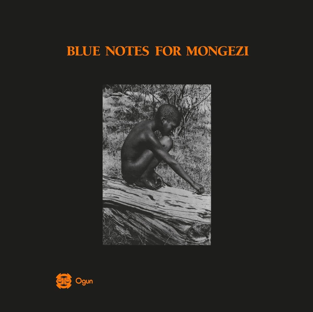 Blue Notes - Blue Notes For Mongezi [VINYL]