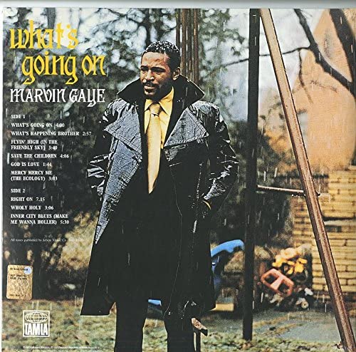 Marvin Gaye - What's Going On [VINYL]