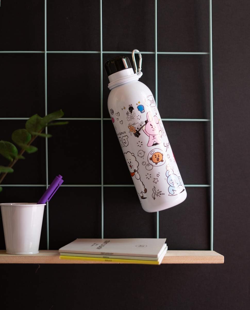 Grupo Erik BT21 Official Merchandise Water Bottle-Sports Bottle-500ml / Stainless Steel, Vacuum Insulated Water Bottle