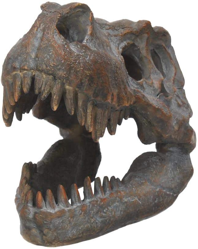 Nemesis Now Tyrannosaurus Rex Skull Freestanding Figurine 18.5cm Grey