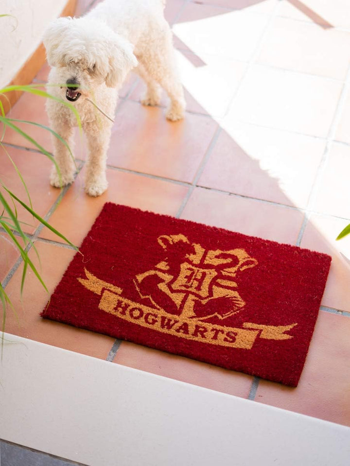 Grupo Erik Official Harry Potter Hogwarts Door Mat - 15.7 x 23.6 Inches /Indoor Door Mat & Outdoor Door Mat