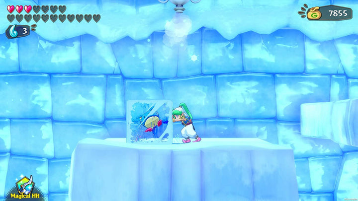Wonder Boy Asha in Monster World (Nintendo Switch)