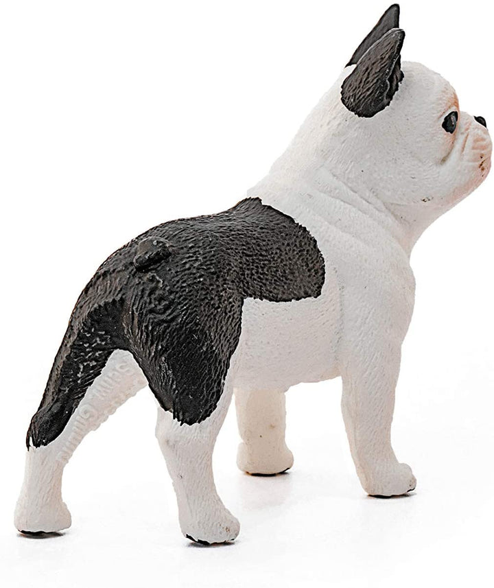 Schleich 13877 Französische Bulldogge
