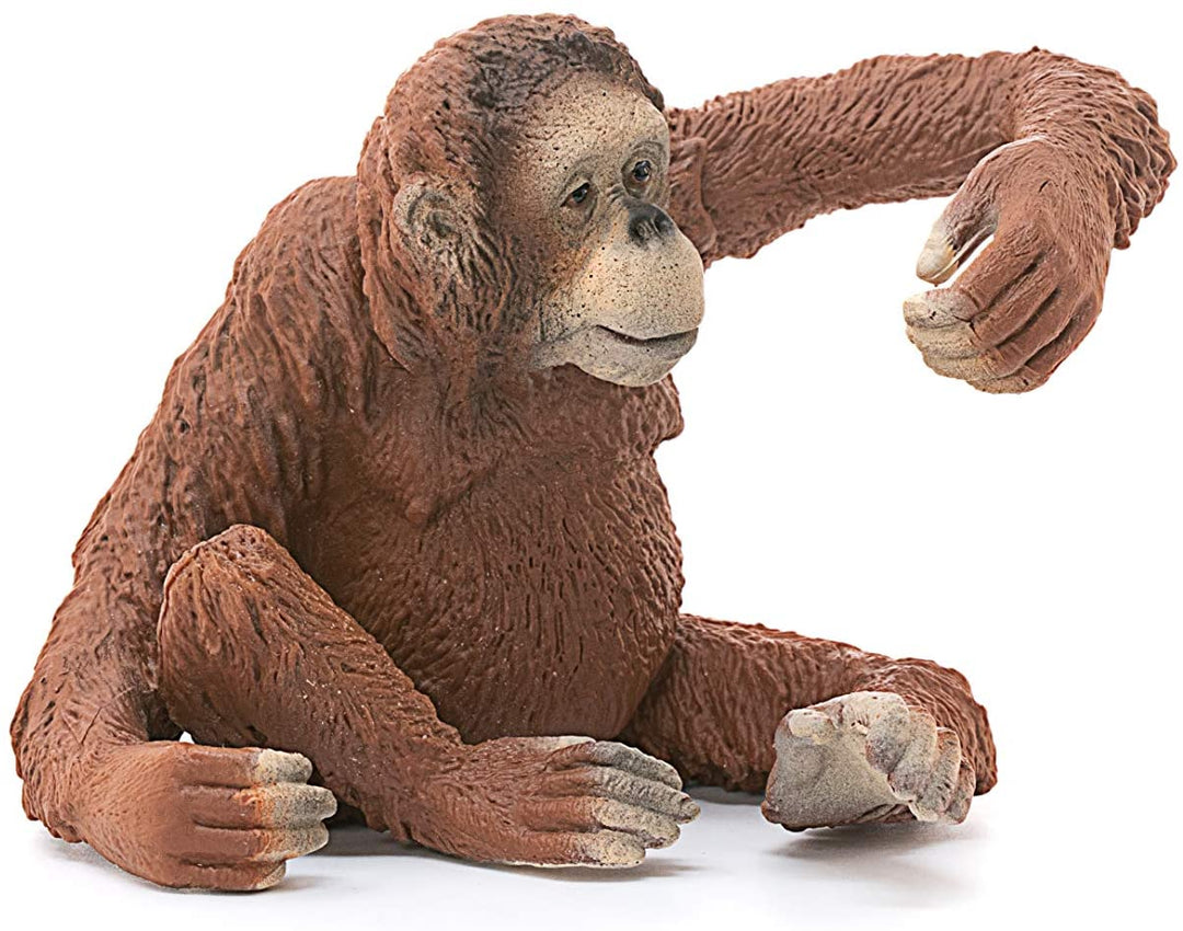 Schleich 14775 Orang-Utan, weiblich