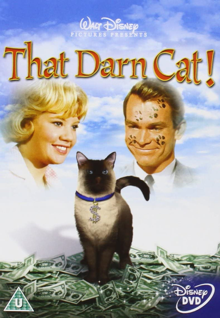 That Darn Cat – Komödie (1965) [DVD]