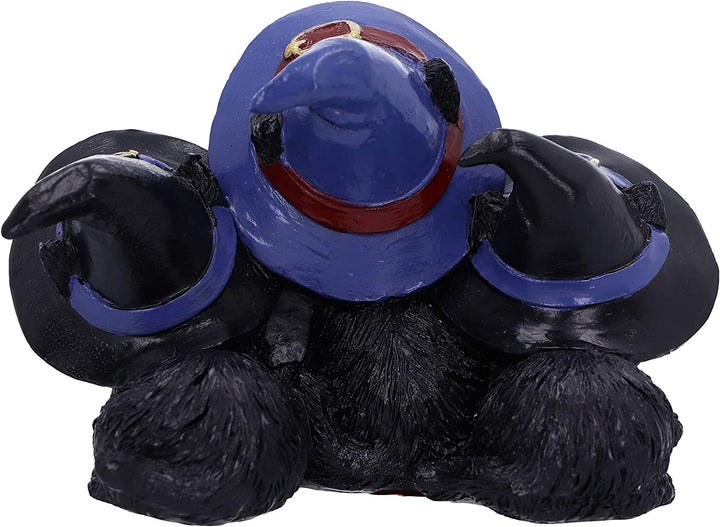 Nemesis Now Familiar Felines Figur, schwarze Katzen mit Hexenhüten, 9,8 cm