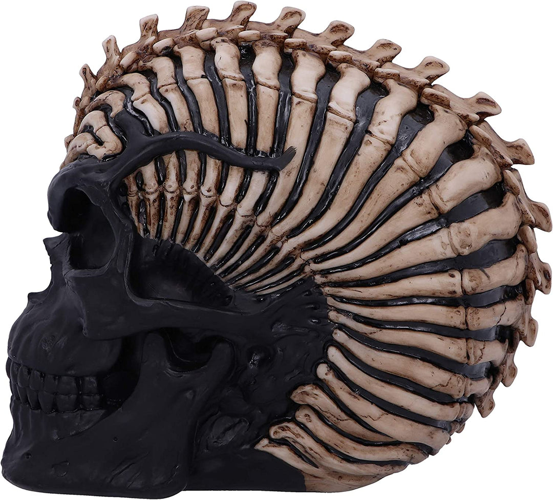 Nemesis Now Officially Licensed James Ryman Spine Head Skull Skeleton Ornament,