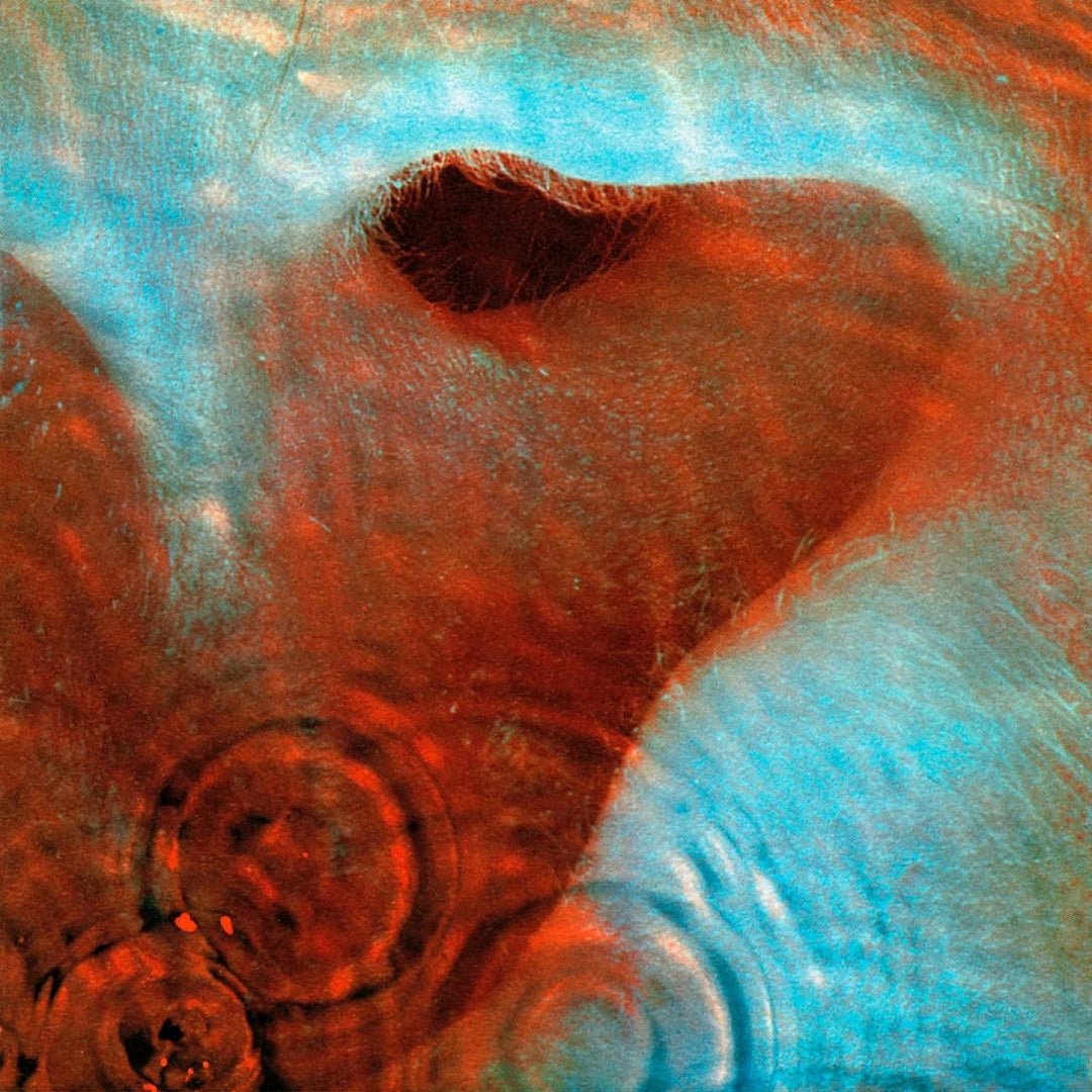 Pink Floyd  - Meddle [Audio CD]