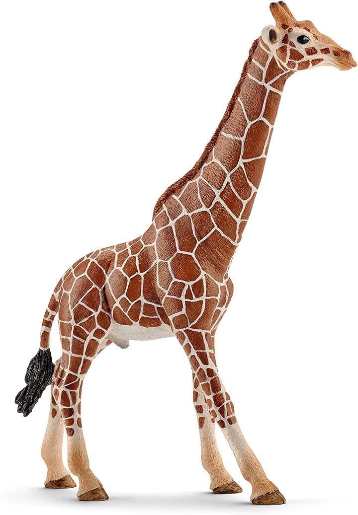 Schleich 14749 Giraffe, männlich