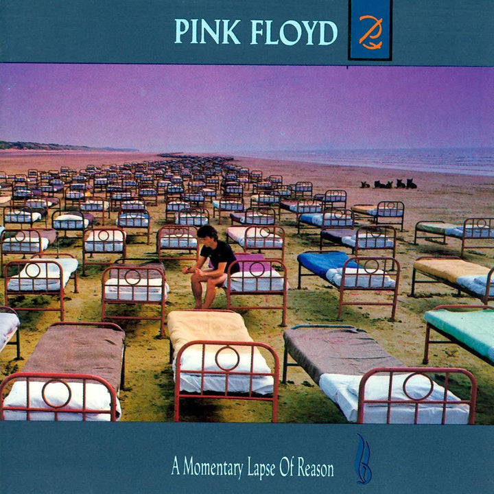 A Momentary Lapse of Reason [Audio-CD]